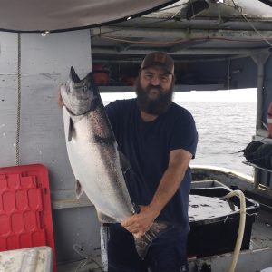King Salmon
